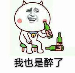 我也是醉了英文怎么说?那些很难翻译成英文