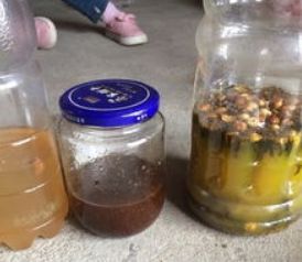 300元上门同城约茶全流程避坑指南及实用攻略