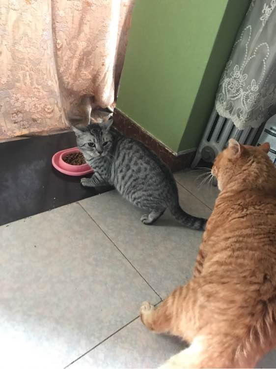 科学家深入研究，发现一个惊人的事实，人类可能生活虚...