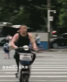 230_283gif 动态图 动图
