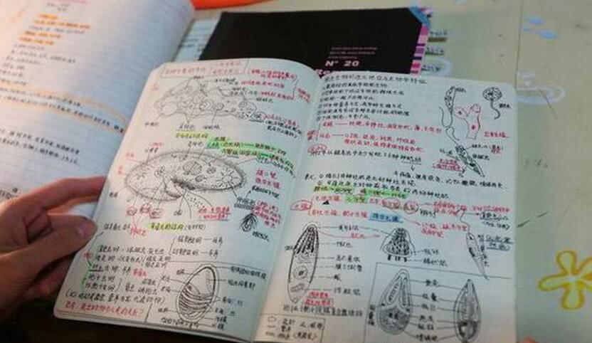 学霸网上晒出课堂笔记,学渣自愧不如,网友:这就是差距