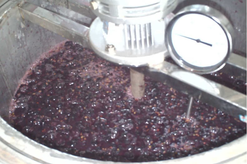 全球最顶级的葡萄酒,居然是未婚少女光脚踩出