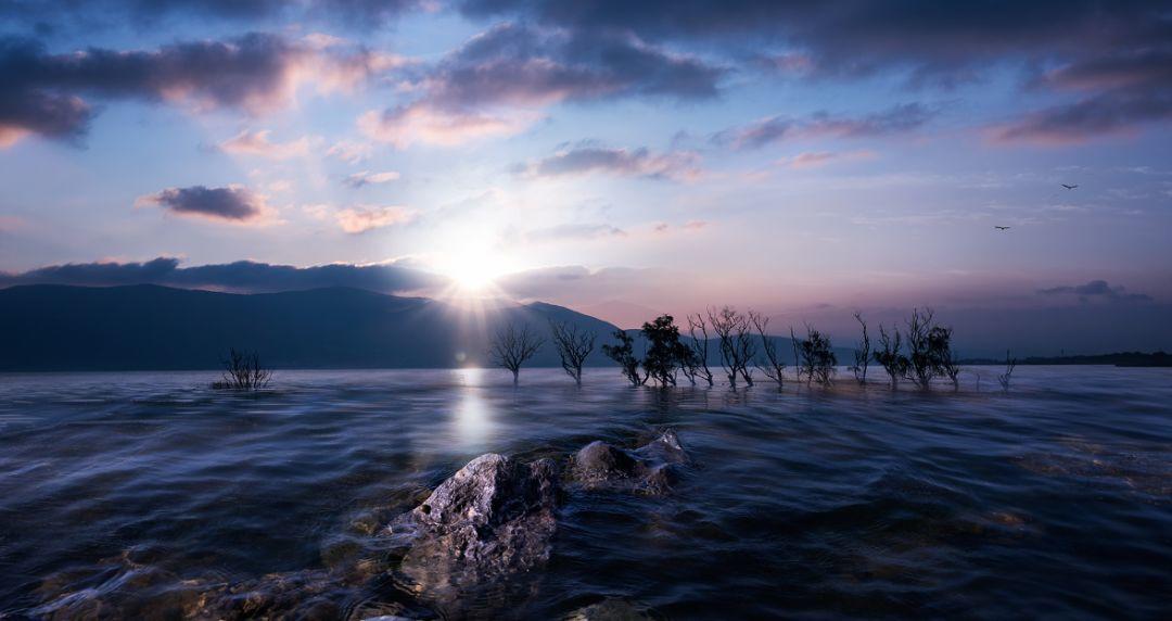 站长说易之手机号预测(二十五)手机号磁场五行