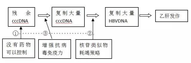 乙肝抗病毒治疗 过早介入和过晚介入 均不理想！