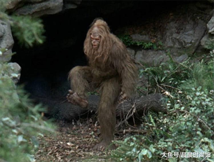 探秘神农架“野人”之谜，是真实存在，还是杜撰?