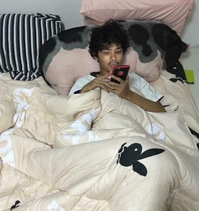 泰国男子养了一只宠物猪,每天都抱着它睡觉,没想到一年后变这样