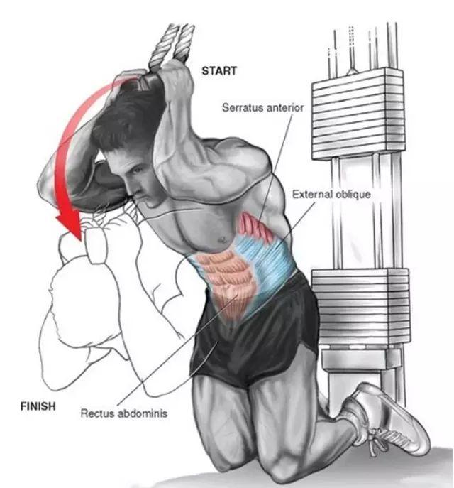 超详细腹肌锻炼图解,花钱都买不到,拿好不谢!