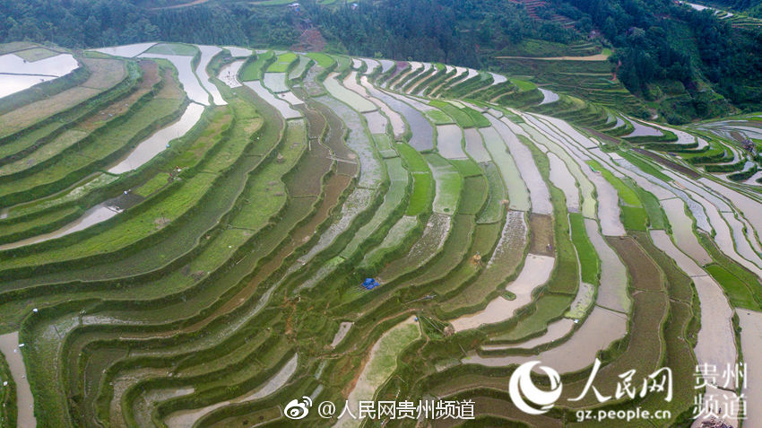 落魄的贵族琉璃川动漫，探索与在线观看指南