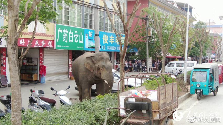 为什么你的华为手机比别人的卡？原来是这些设置在搞怪