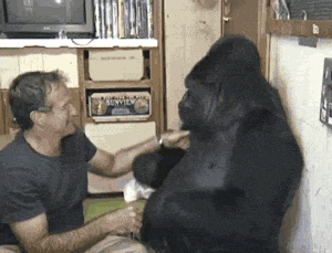 搞笑gif:婚礼上发生这一幕,真的很尴尬.