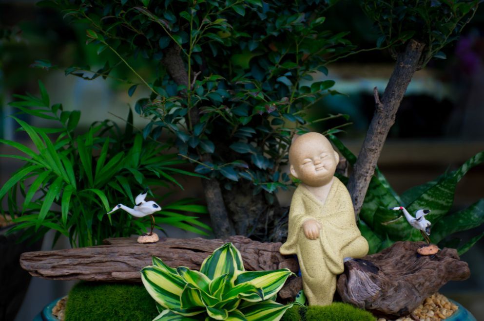 渡人,亦是渡己,非常精辟,值得一看