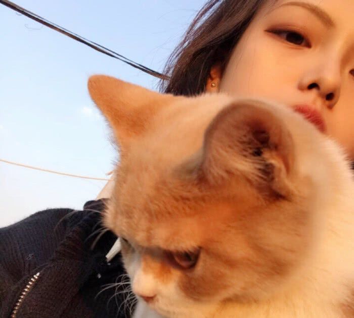 男友不如宠物系列·女生抱萌宠·头像: