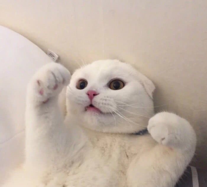 ins风无水印背景图,都是身边温柔的风景,超有生活气息