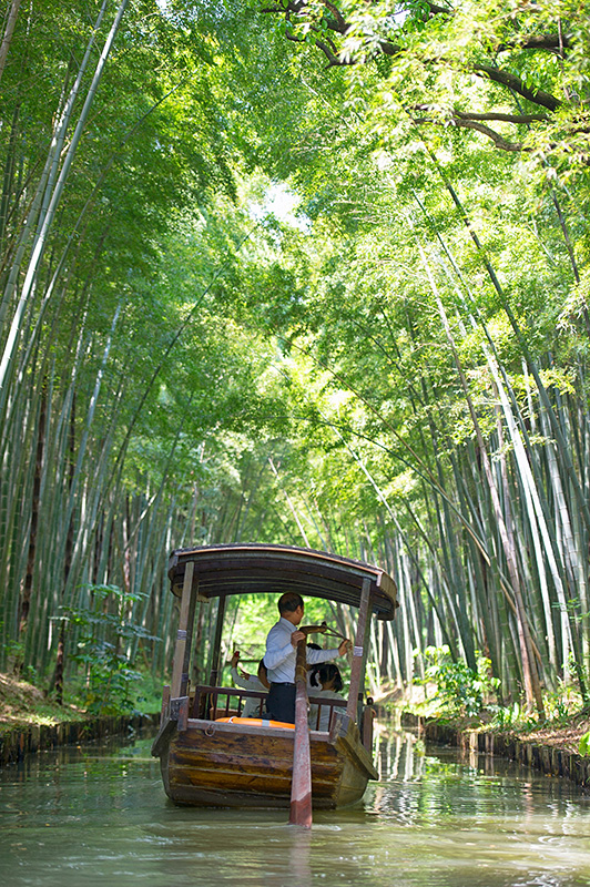 #美在春天#<a href='http://travel.sina.com.cn/jiangsu-lvyou/?from=b-keyword' target='_blank'><em>江苏</em></a>最美的湿地公园,环境清幽游客极少
