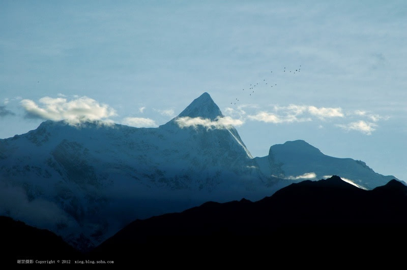 南迦巴瓦峰晨曦与飞翔的野鸽。拍摄点：派镇。