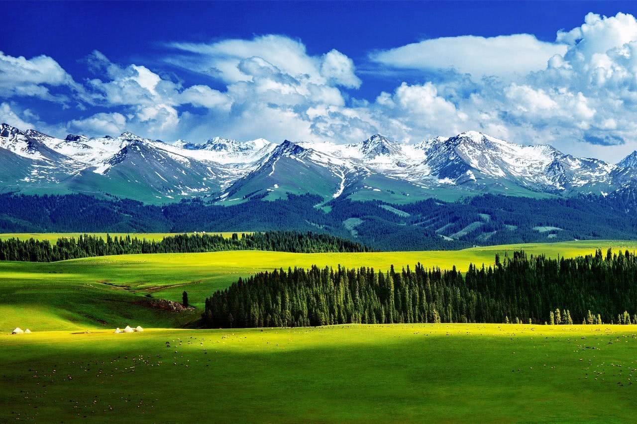 野花牛羊猎鹰台,空中草原喀拉峻