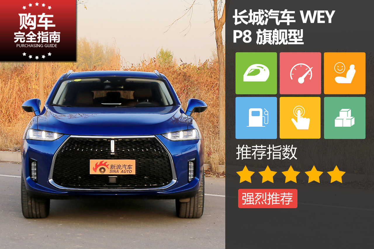 长城汽车 WEY P8 2018款 旗舰型