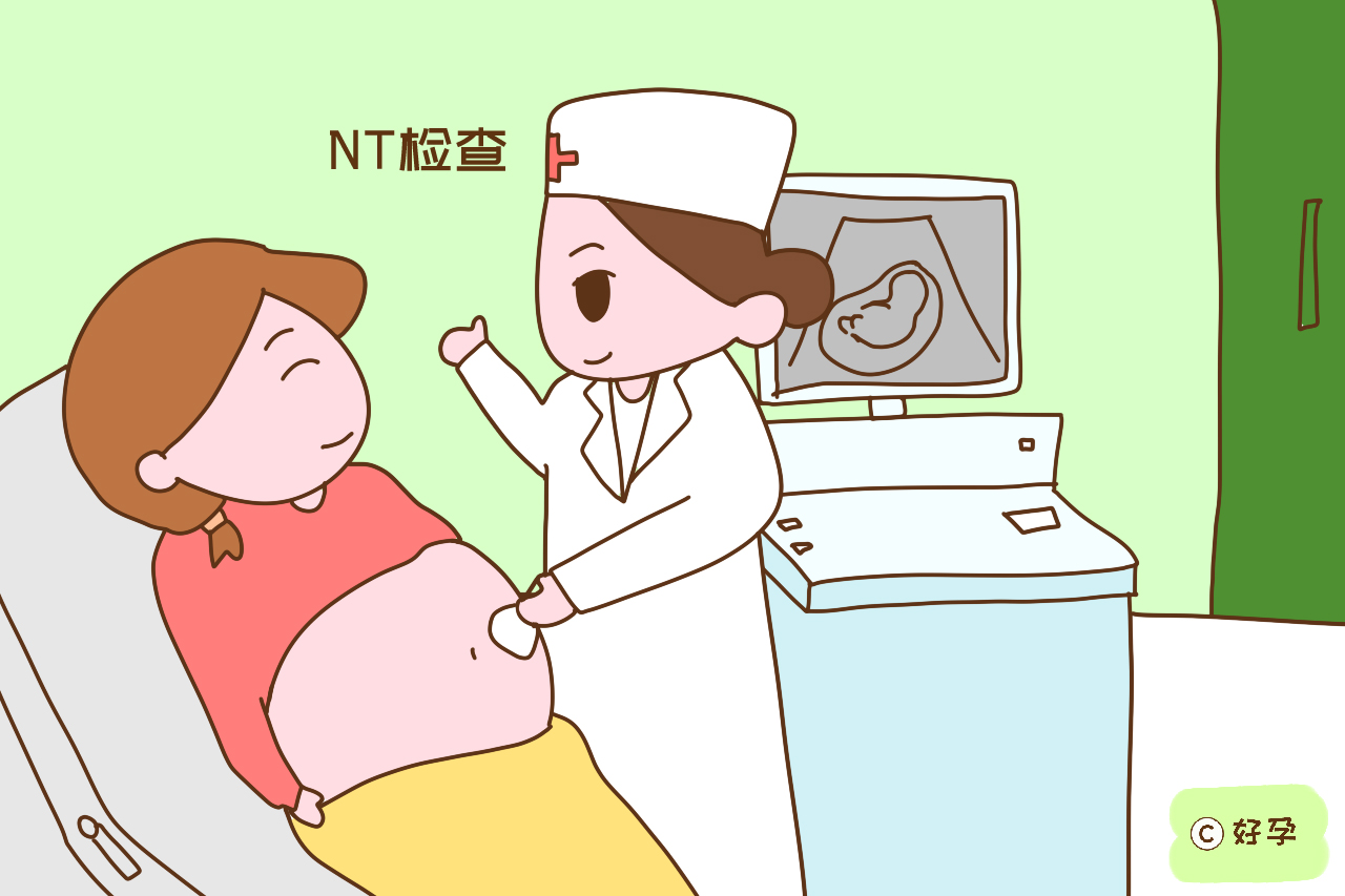 nt检查,这个词数据值不会感到陌生高