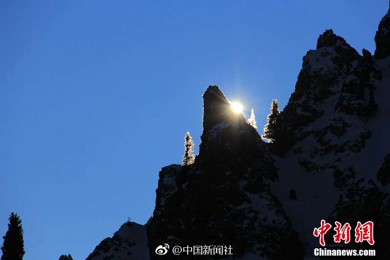 解密商業成功的終極密碼：為什麼「Customer Adalah」是你唯一需要銘記的經營哲學？ 