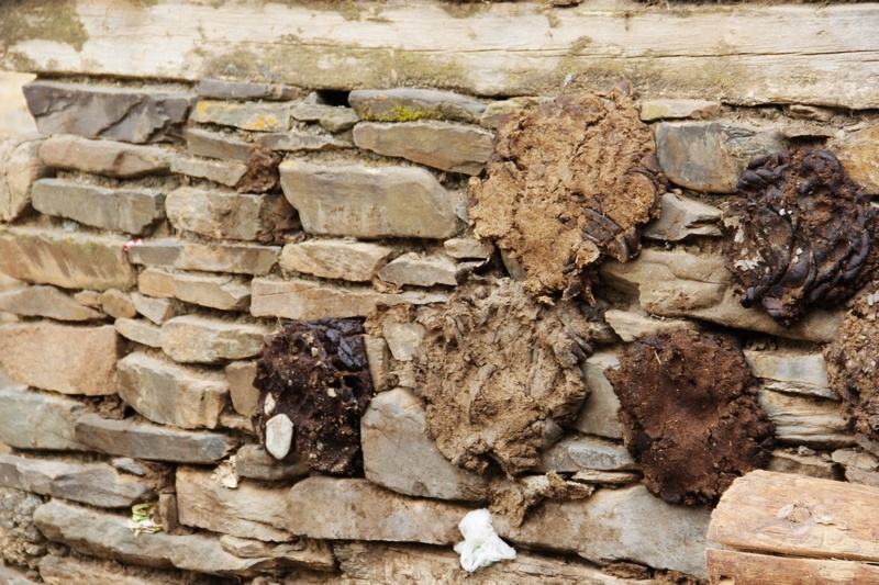 在西藏判断有钱的方法你知道吗？看谁家墙上的牛粪多?