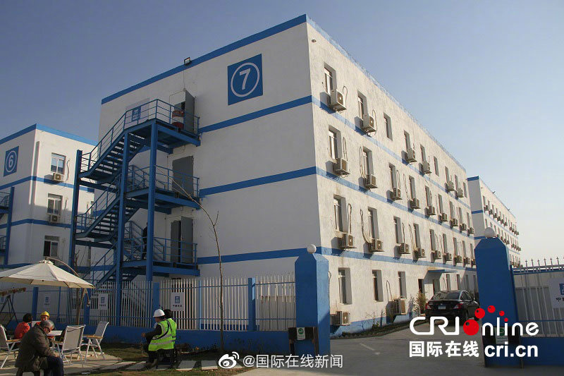 重口女虐女，网络剧情与视频信息深度解析