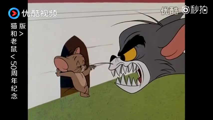 猫和老鼠:杰瑞走出老鼠洞,推开汤姆的头,却把它胡子给