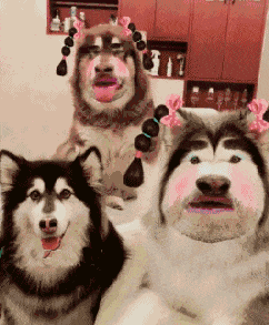 搞笑gif:第一张图笑的我伤口疼,两个都疼!哈哈哈