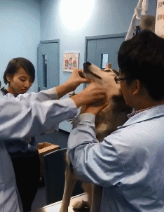 搞笑gif:兄弟,你这汽车开的有点飘啊!
