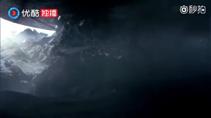 包贝尔"狂妄版"广场舞,比王祖蓝还搞笑,不笑喷给你100万
