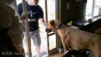 344_195gif 动态图 动图