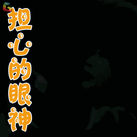 我刚上幼儿园,爸爸妈妈别太担心!