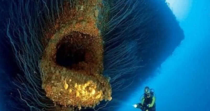 7张让人"头皮发麻"的深海照片,太诡异,深海恐惧症者勿
