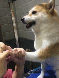 不愧为表情大师~ (本文图片均来自网友推荐,如有异议,请私信小编解决