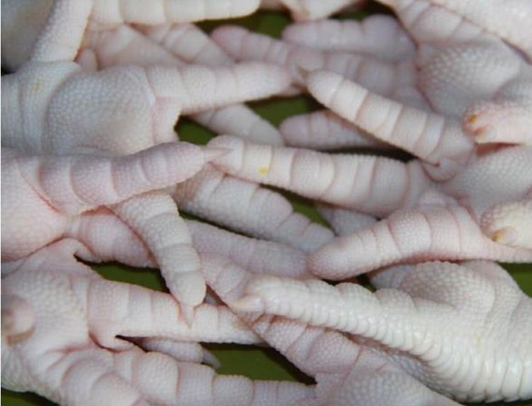 超市中所卖的泡椒鸡爪都是从哪来的？看完你可能不敢吃