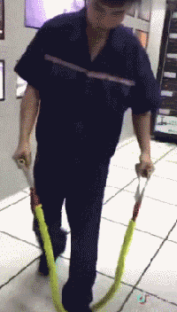 爆笑内涵gif:有此猪队友