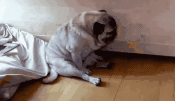 睡觉真是舒适与惊险并存啊!