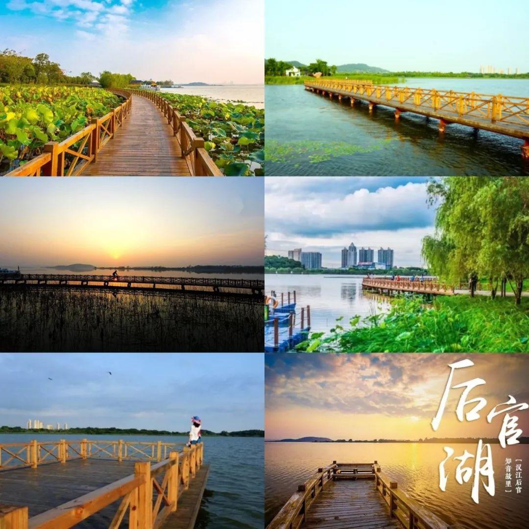 湿地分享丨冬季防霾小妙招|白莲湖|雾霾天气|雾霾_新浪新闻