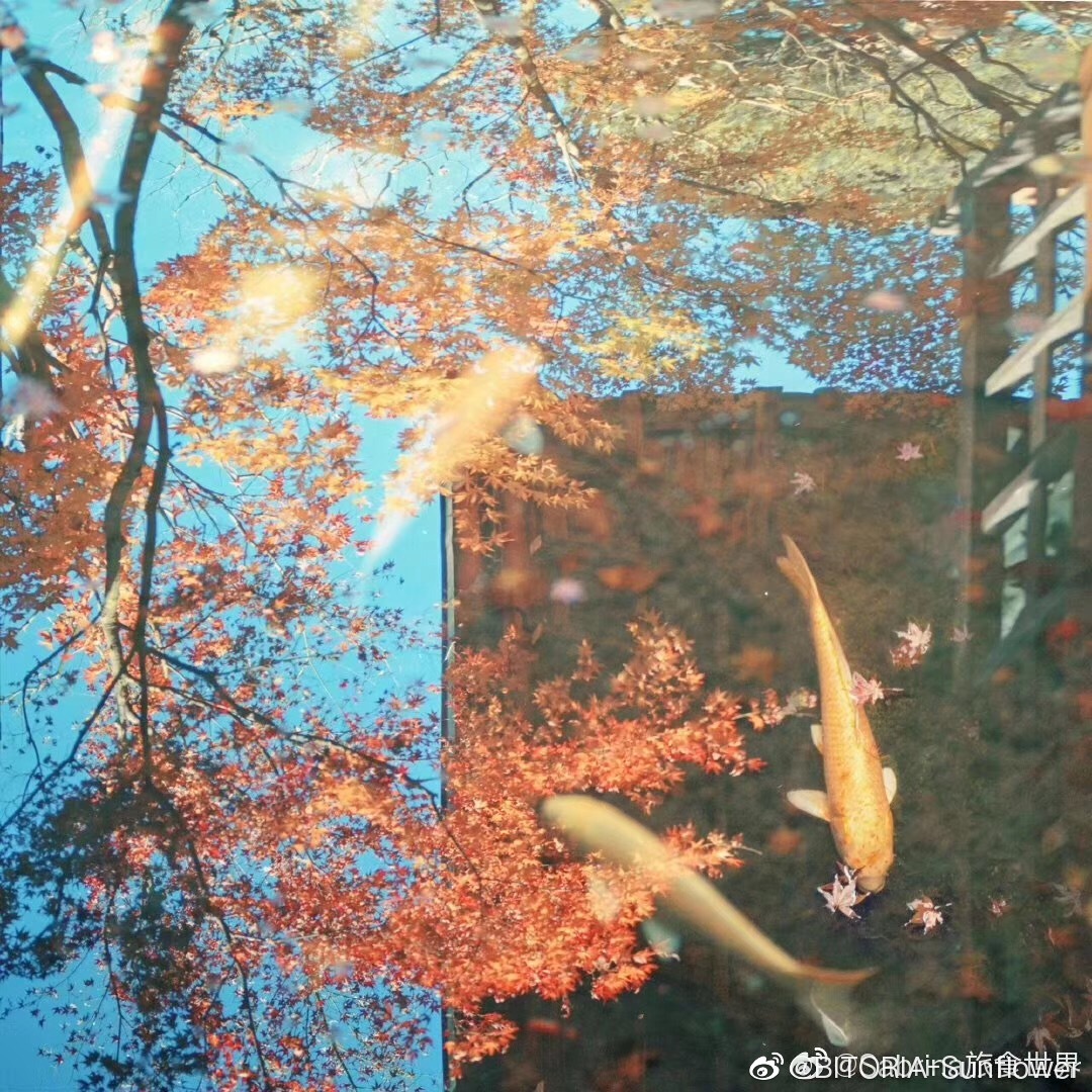 奈良的秋天近了