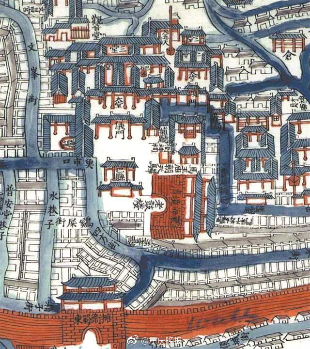 從草地到看台的贏家筆記：解構賽馬投注的「財富密碼」與心理博弈 