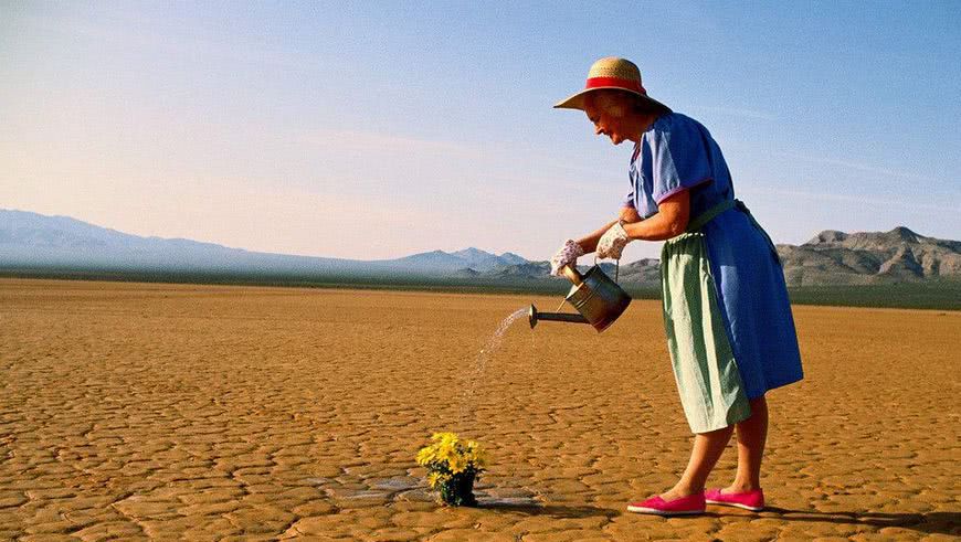 为桂花浇水