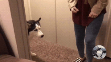 360_202gif 动态图 动图