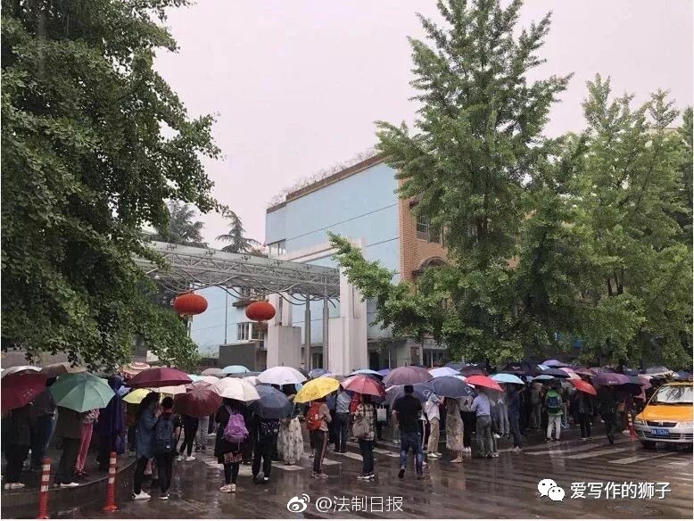 世界乒乓球选手排名