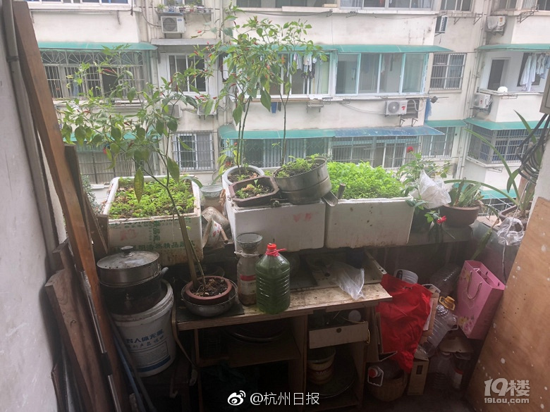 实拍：城管粗暴铲翻老太菜摊