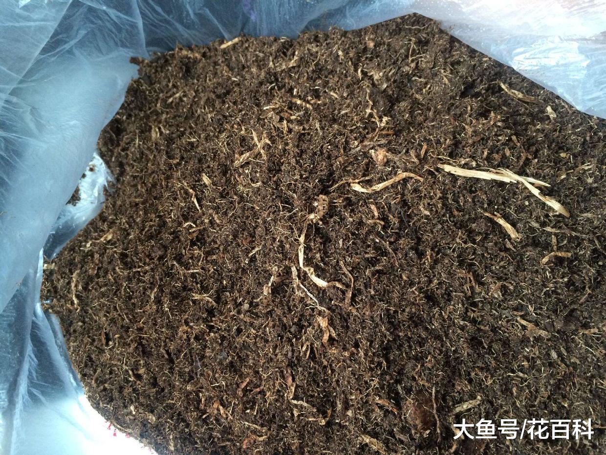 腐叶土,泥炭土, 到底哪个才最好?
