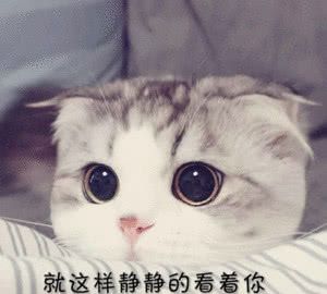 05后VS95后的表情包前者萌萌哒,后者太沙雕