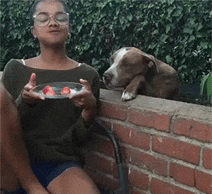 搞笑gif图:第一次有人向我表白,先让我做份卷子冷静一