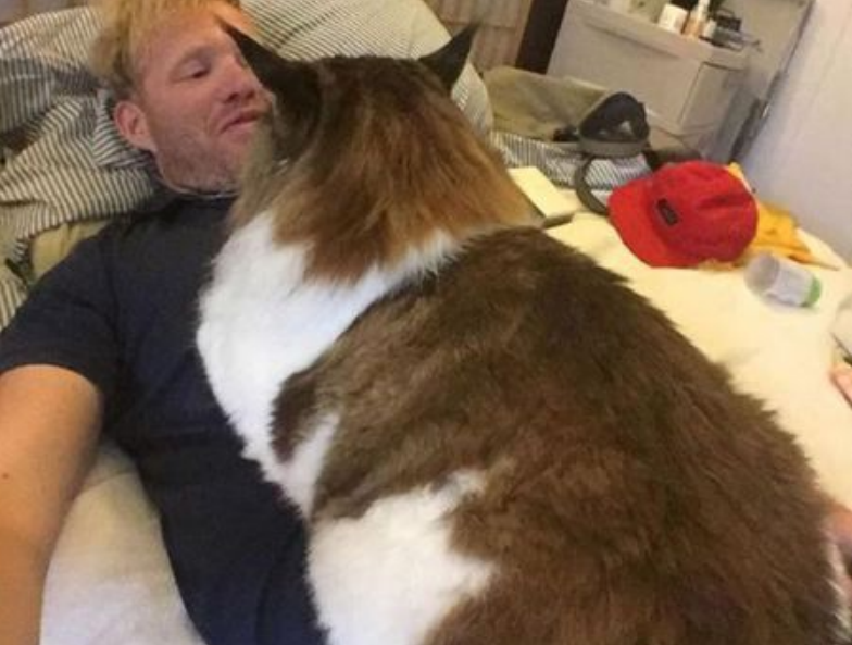 22米重25斤,橘猫在它面前也要甘拜下风