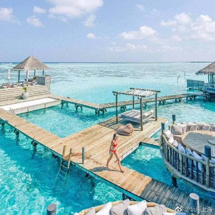 你的馬代夢實現(xiàn)了沒