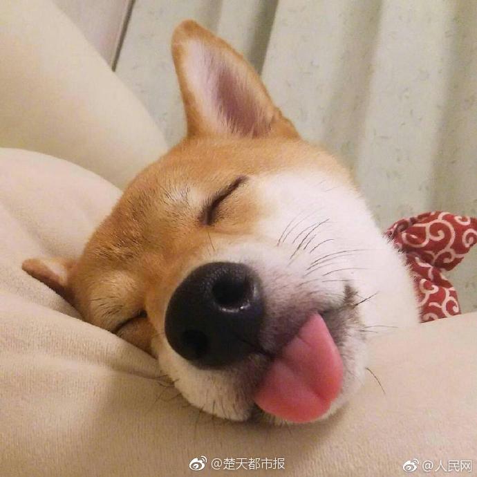 捷克街头精彩剧集，全集免费在线观看