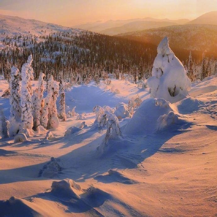 冬季俄罗斯，阳光下的雪景